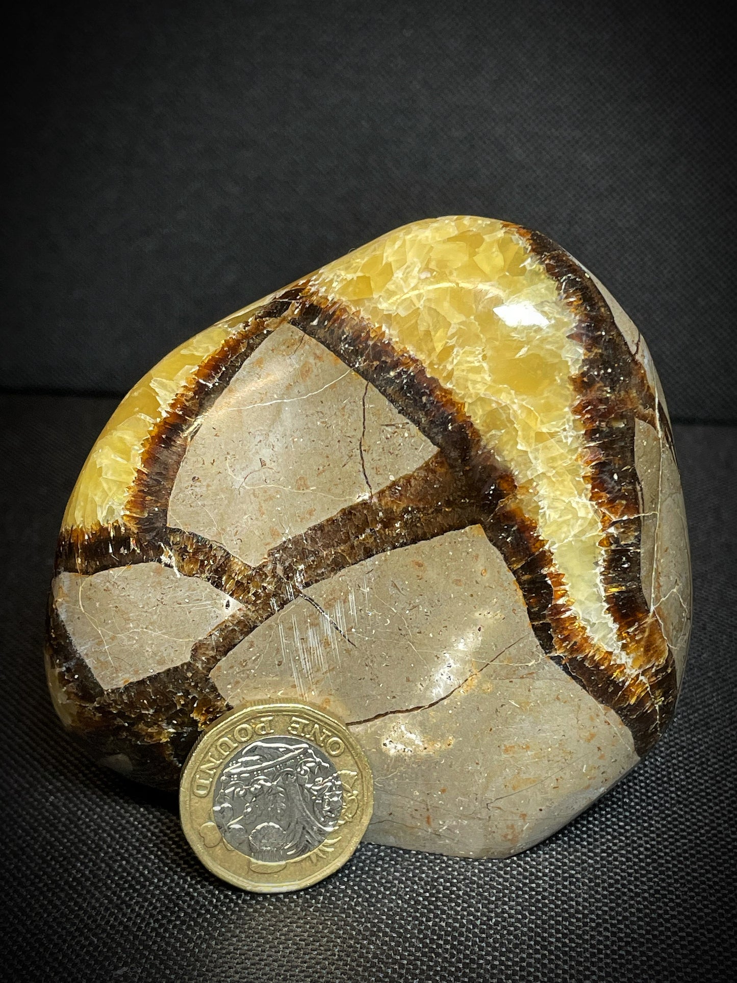 Polished Septarian nodule Freeform From Madagascar