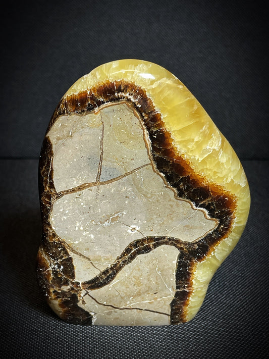 Polished Septarian nodule Freeform From Madagascar