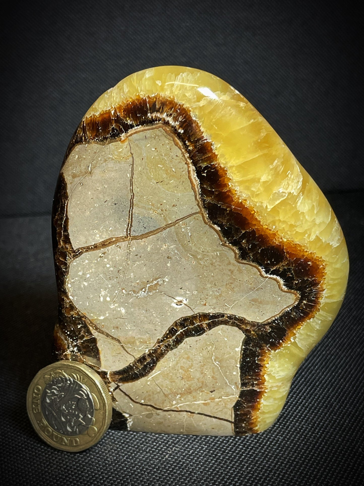 Polished Septarian nodule Freeform From Madagascar