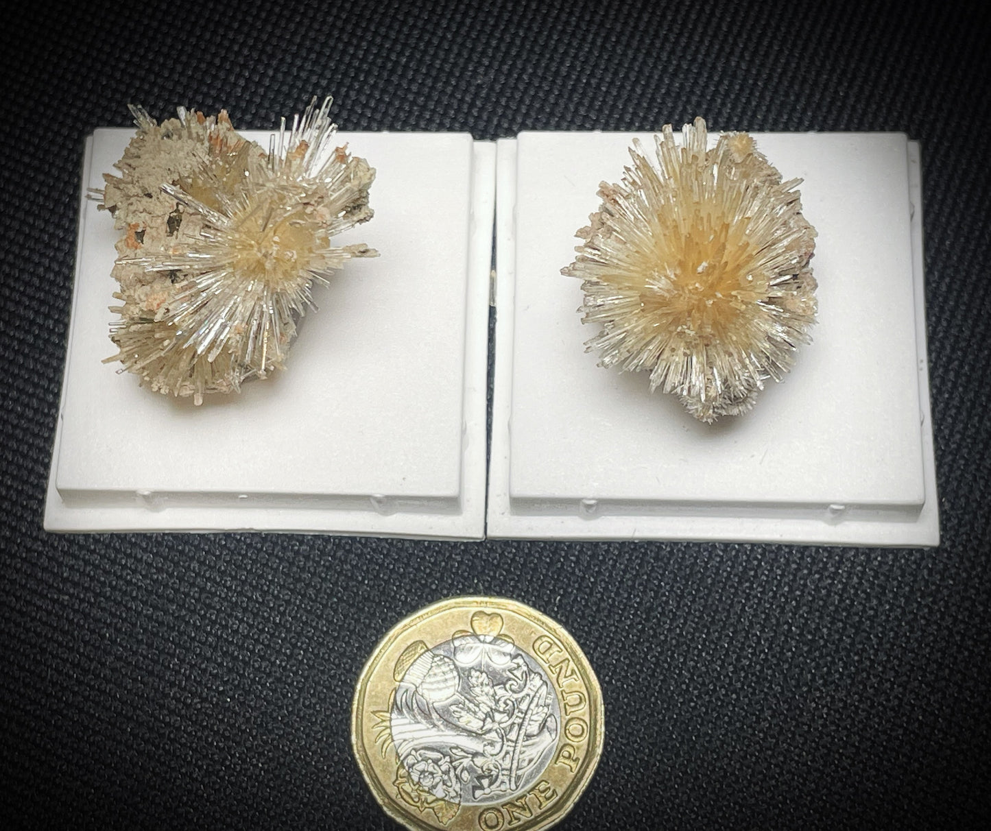 Natural Aragonite From Spain Sold Individually (Box Included)