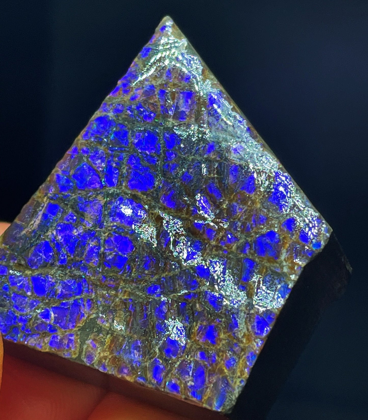 High Grade Natural Rare Purple Ammolite Gem Quality From Calgary, Canada