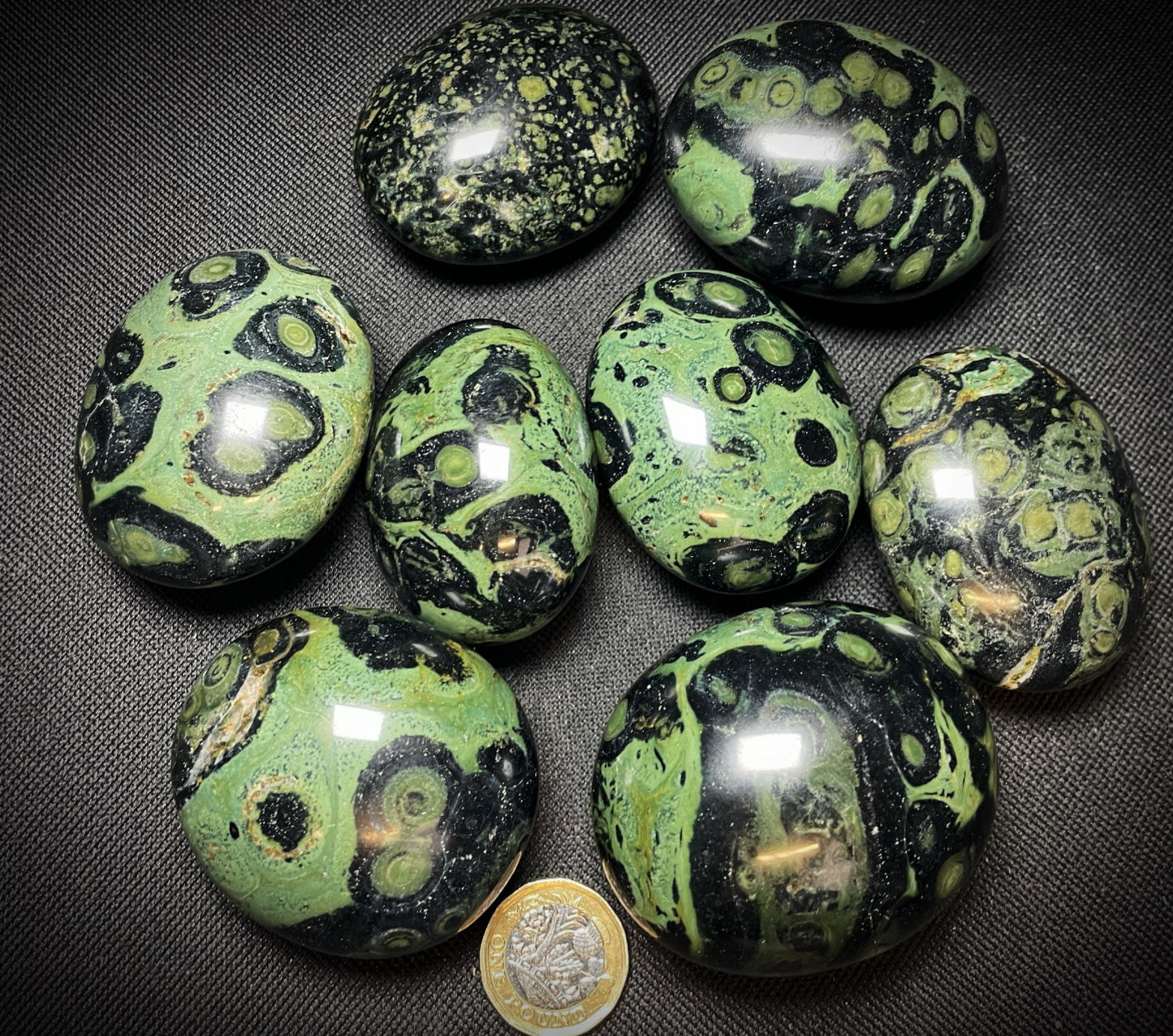Gorgeous Kambaba Jasper Palm Stones Bag Home Décor Crystal Healing