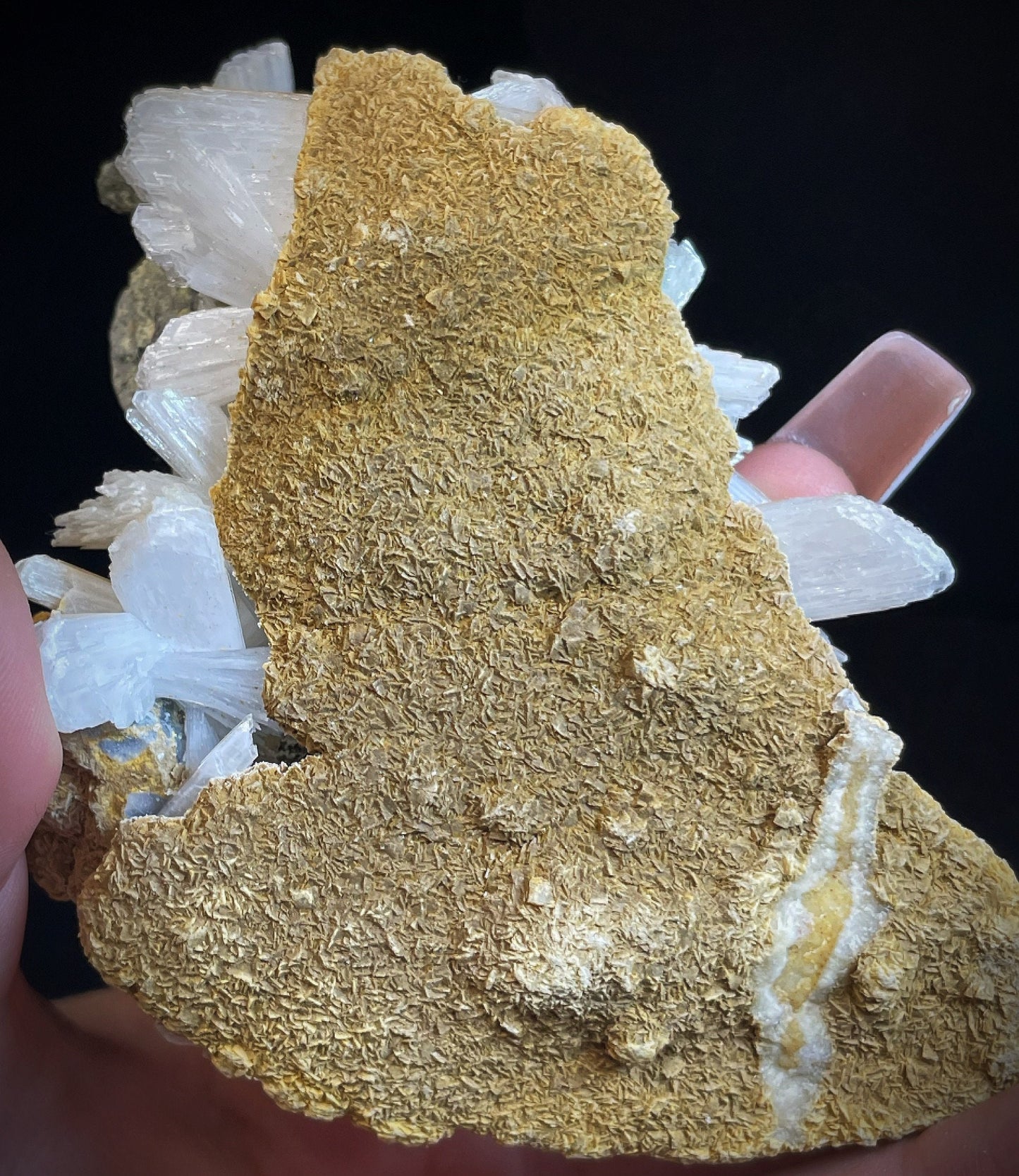 Selenite, Gypsum Crystals Hydrated Calcium Sulphate On Matrix From Charcas Mexico