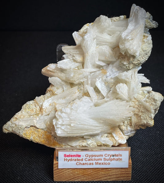 Selenite, Gypsum Crystals Hydrated Calcium Sulphate On Matrix From Charcas Mexico