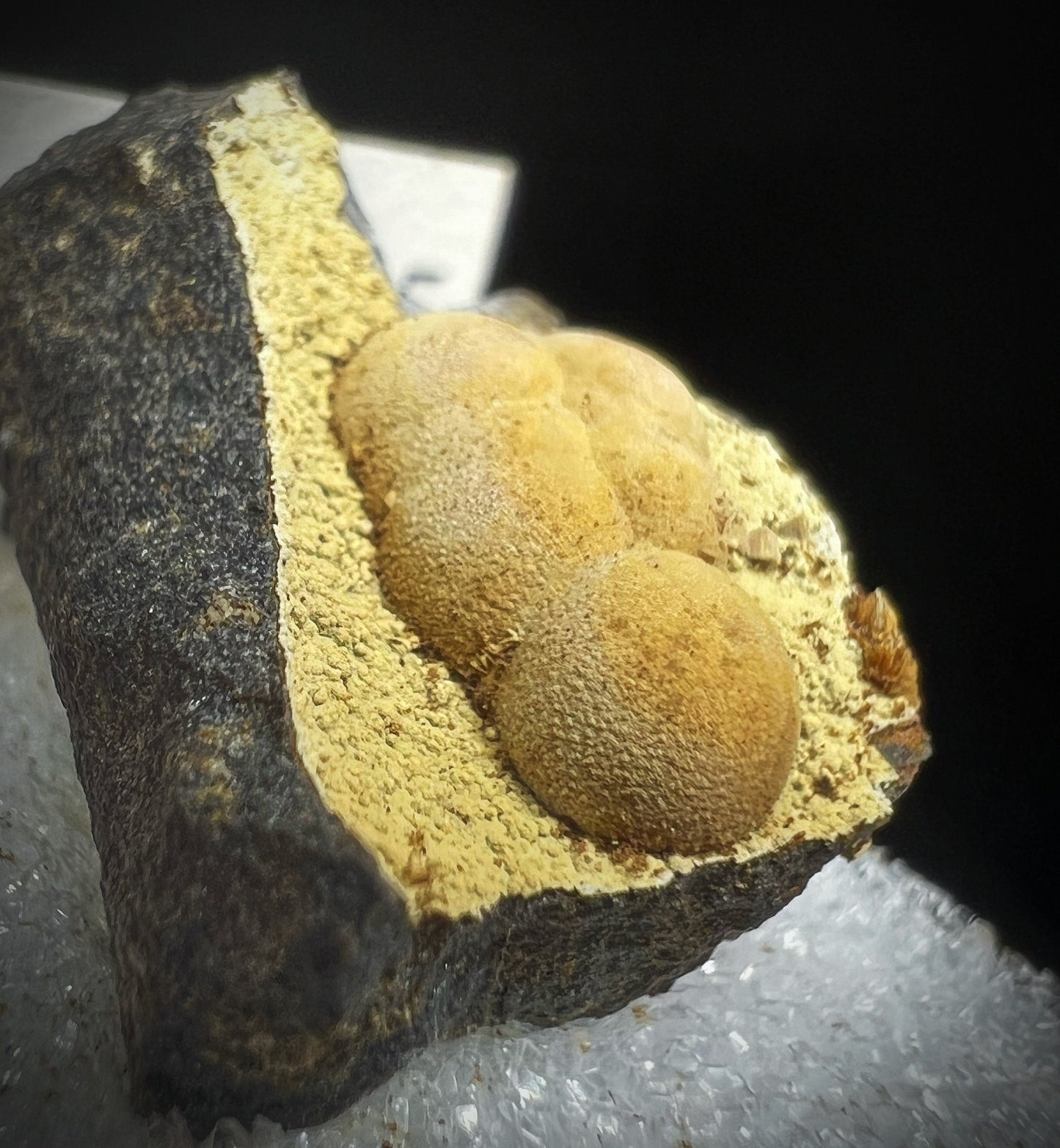 Siderite From Oregon (Box Included) Collectors Piece, Home Décor