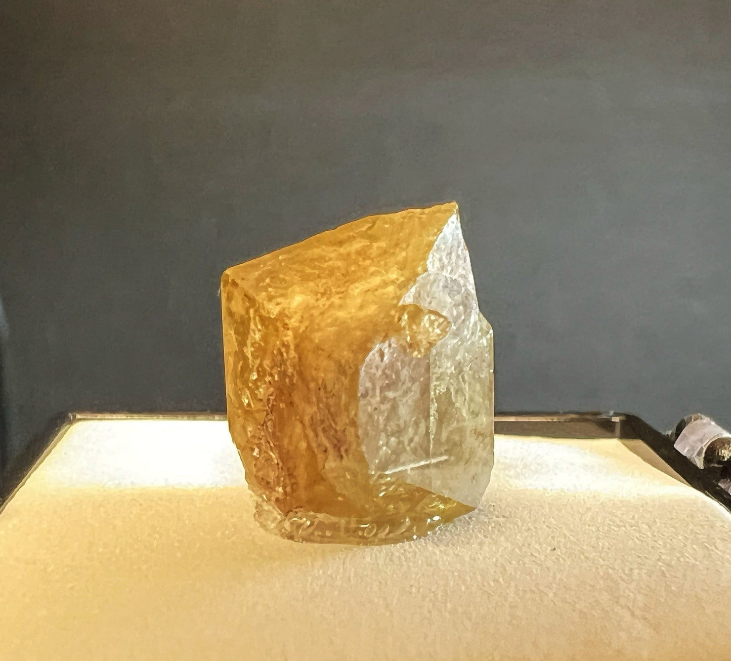 Mellite From Csordakúti Mine, Fejér, Hungary (Box Included) Collectors Piece