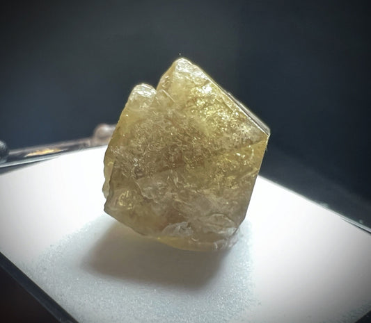 Mellite From Csordakúti Mine, Fejér, Hungary (Box Included) Collectors Piece