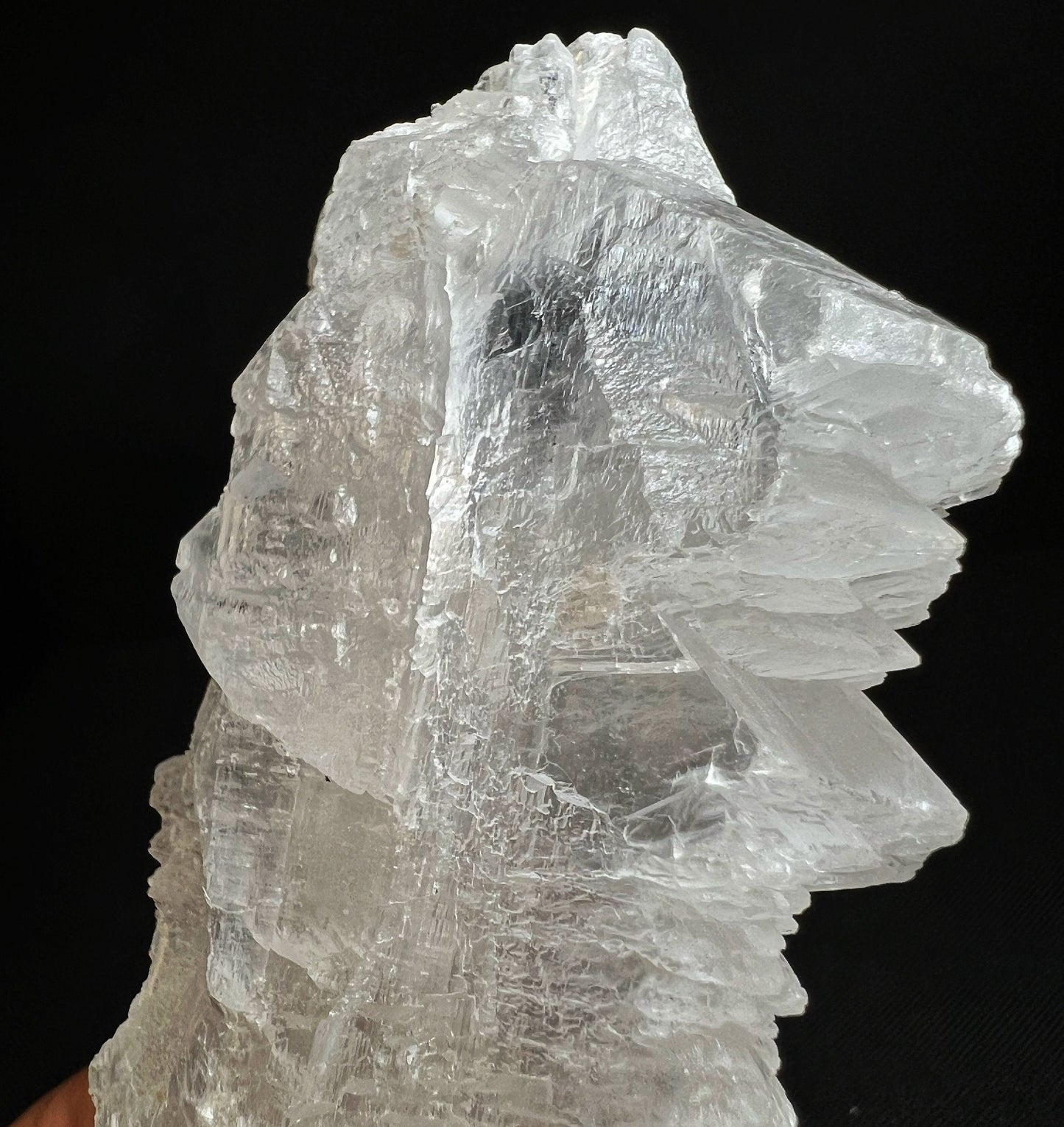 Fishtail Selenite From Naica Mine, Chihuahua, Mexico- Collectors Piece, Home Décor, Gift, Crystal Healing