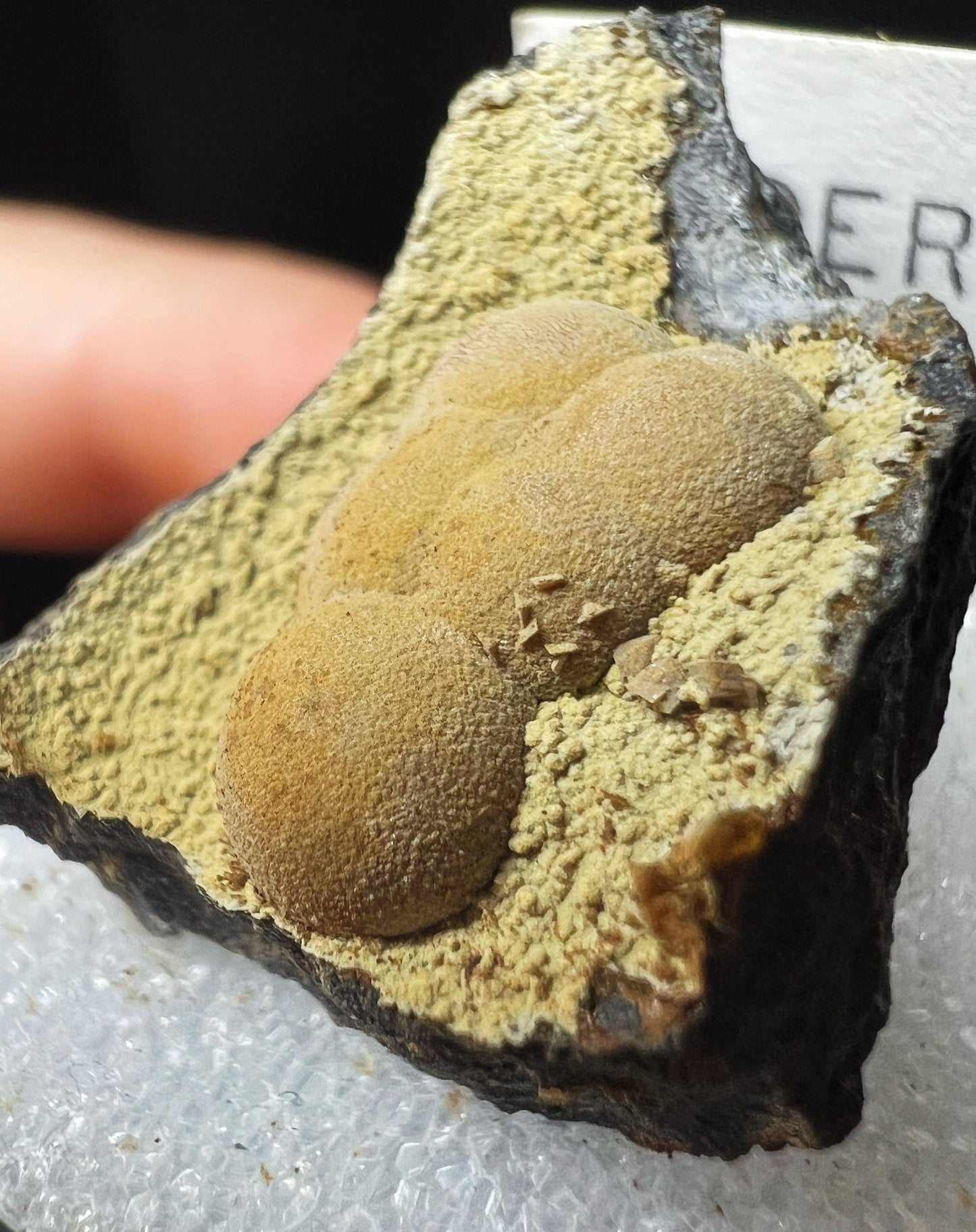 Siderite From Oregon (Box Included) Collectors Piece, Home Décor