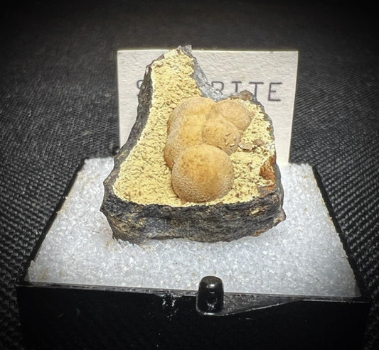 Siderite From Oregon (Box Included) Collectors Piece, Home Décor