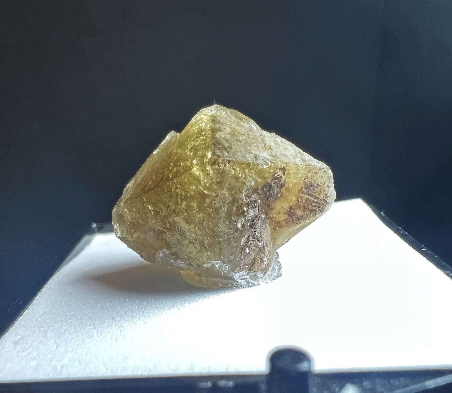 Mellite From Csordakúti Mine, Fejér, Hungary (Box Included) Collectors Piece