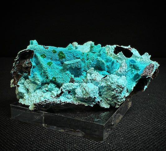 Chrysocolla Pseudomorph From Tenke Fungurume, Kolweze, Dr Congo- Collectors Piece, Statement Piece, Home Décor, Gift (Stand Included)
