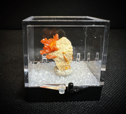 Orpiment On Barite From El'brusskiy Arsenic Mine -Collectors Piece, Home Décor, Gift (Box Included)