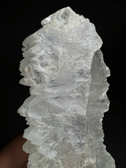 Fishtail Selenite From Naica Mine, Chihuahua, Mexico- Collectors Piece, Home Décor, Gift, Crystal Healing