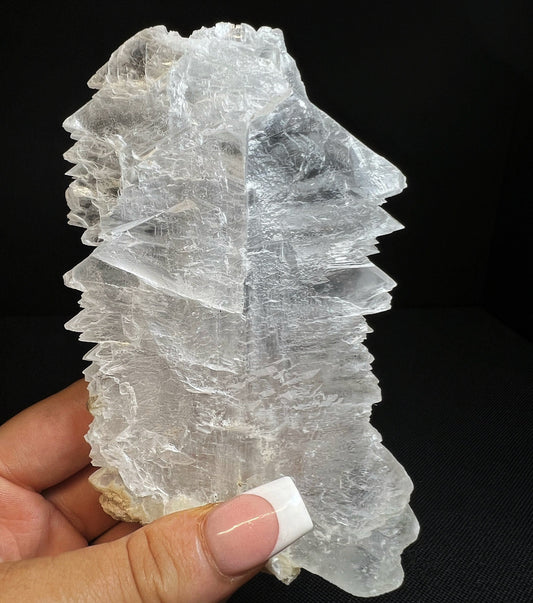 Fishtail Selenite From Naica Mine, Chihuahua, Mexico- Collectors Piece, Home Décor, Gift, Crystal Healing