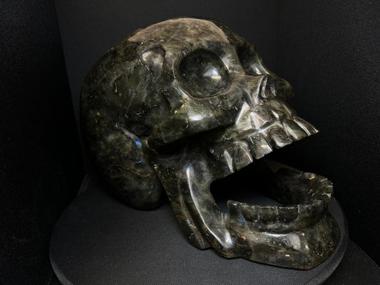 A large Polished Perfectly Carved Skull in Labradorite Stone- Statement Piece, Home Décor