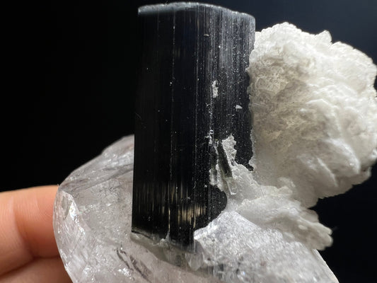 Blue Cap/ Black Tourmaline With Quartz From Stak Nala, Pakistan- Home Décor, Collectors Piece