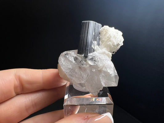 Blue Cap/ Black Tourmaline With Quartz From Stak Nala, Pakistan- Home Décor, Collectors Piece