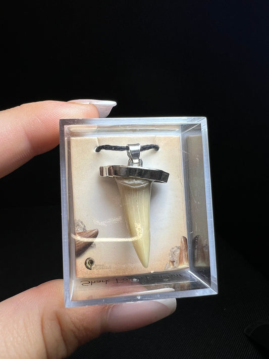 Shark Tooth Necklace- Sold Individually, Fossils