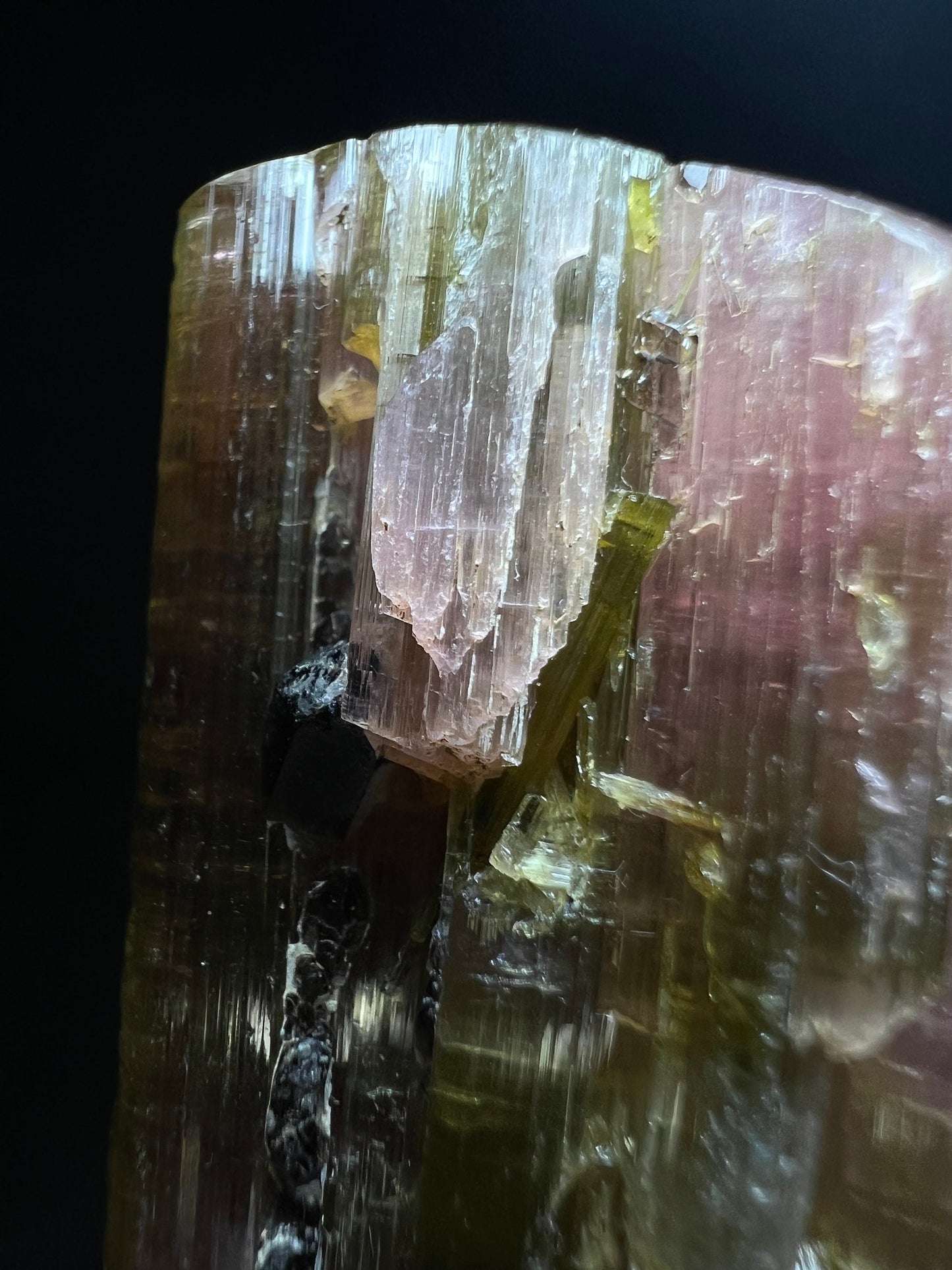 Single Termination Watermelon Tourmaline With Black Tourmaline Piercing Through From Brazil (Self Healed) - Collectors Piece