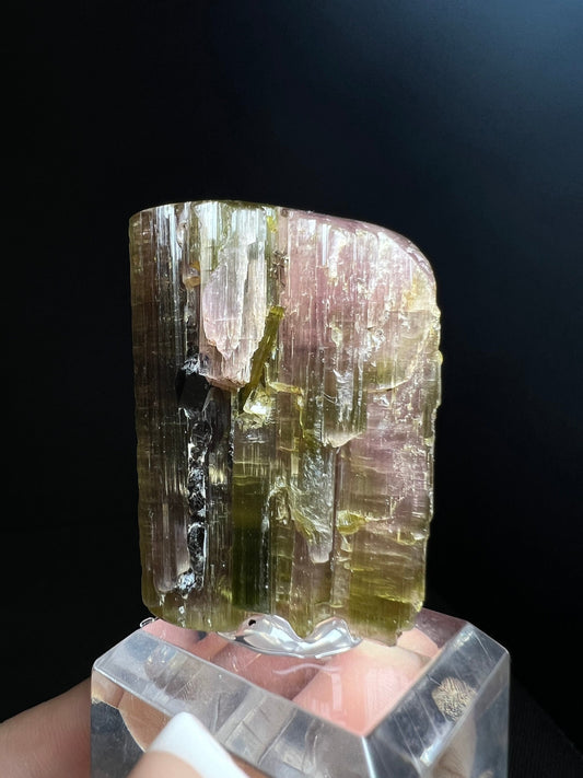 Single Termination Watermelon Tourmaline With Black Tourmaline Piercing Through From Brazil (Self Healed) - Collectors Piece