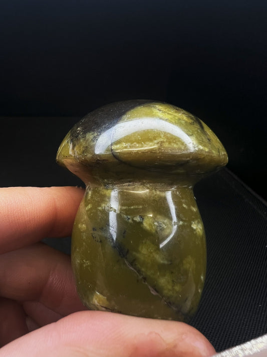 Polished Green Opal Mushroom From Madagascar- Home Decor, Gift