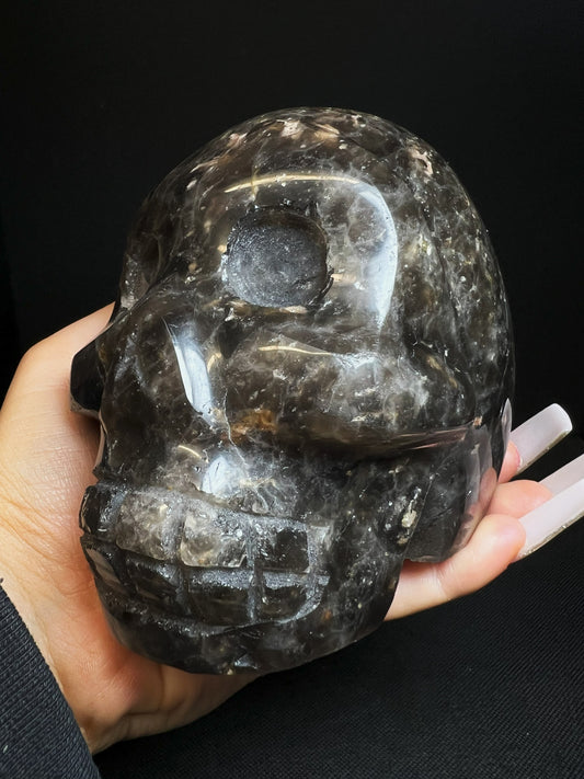 Outstanding Rare Black Morion Skull Collectors Piece Home Décor Statement Piece