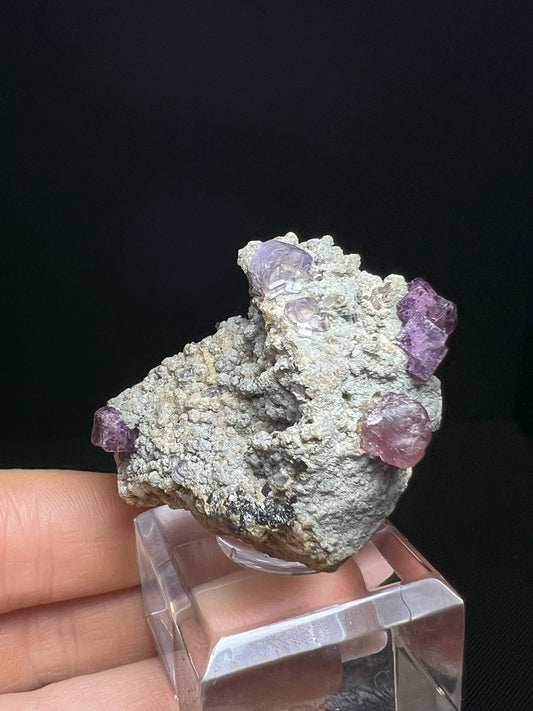 Rare Museum Quality Fluorapatite And Fluorite On Matrix From Saxony, Germany- Home Décor, Collectors Piece