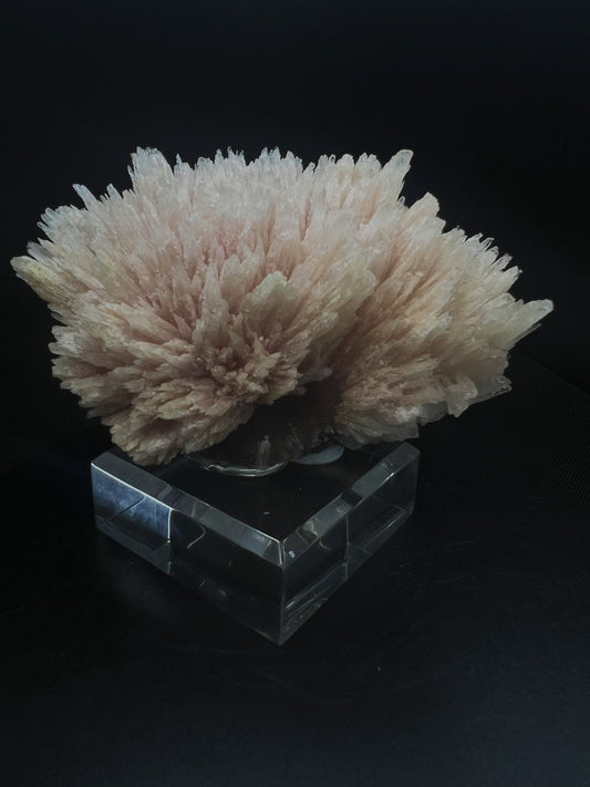 Needle Like Cobalt Calcite From Morocco (Stand Included) Collectors Piece