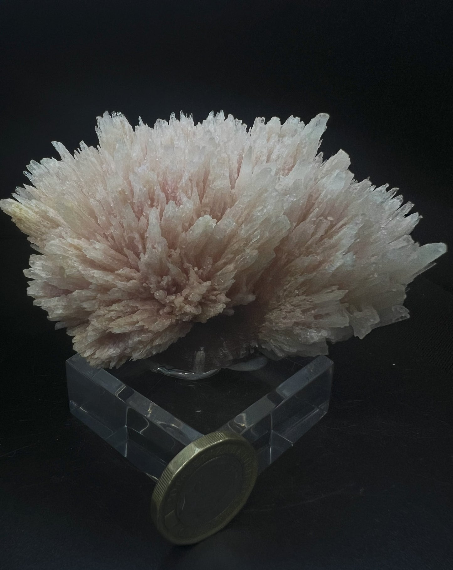 Needle Like Cobalt Calcite From Morocco (Stand Included) Collectors Piece