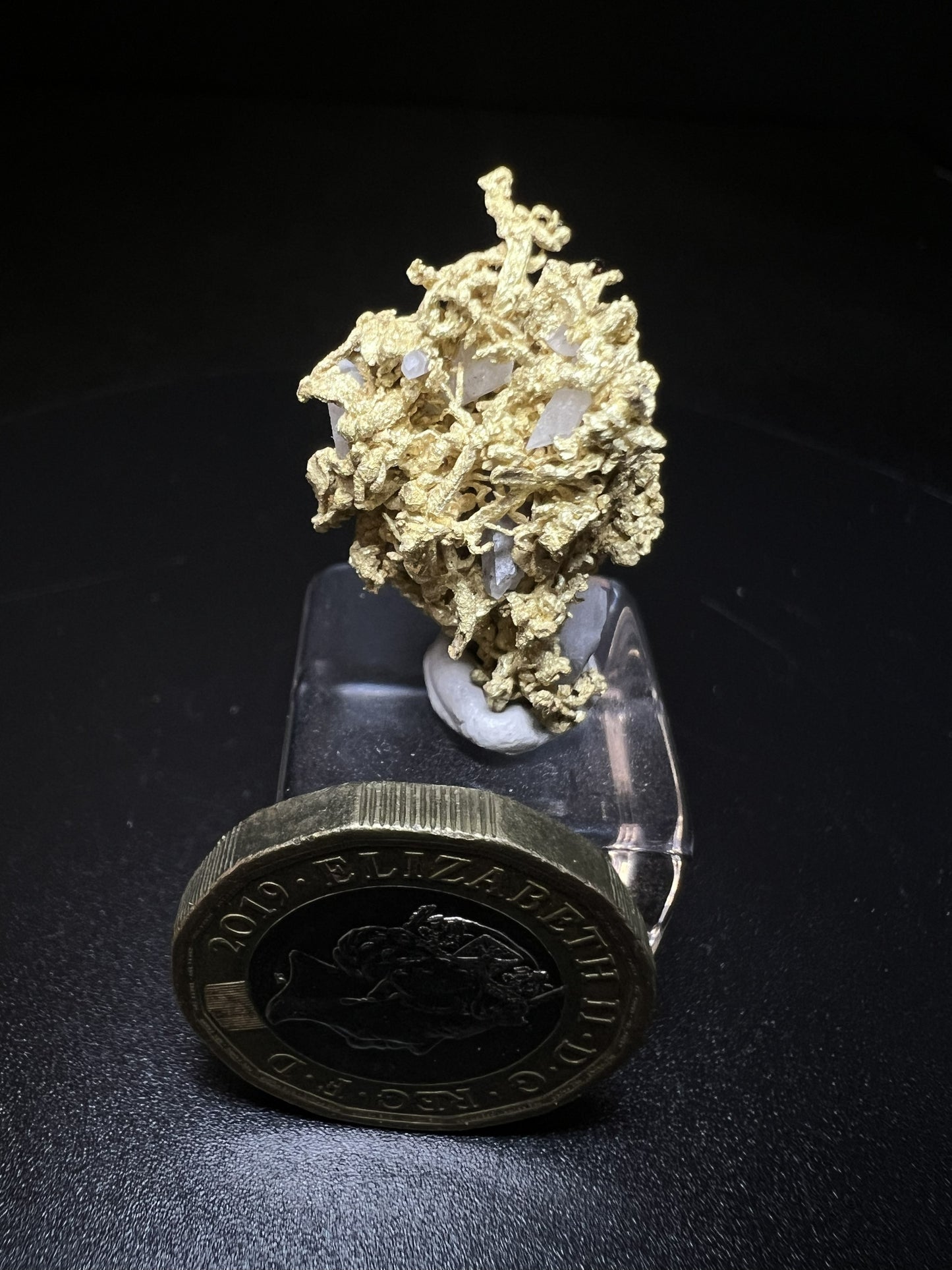 Rare Crystallized High Grade Gold With Quartz From Belshazzar Gold Mine, Boise County, Idaho- collectors piece