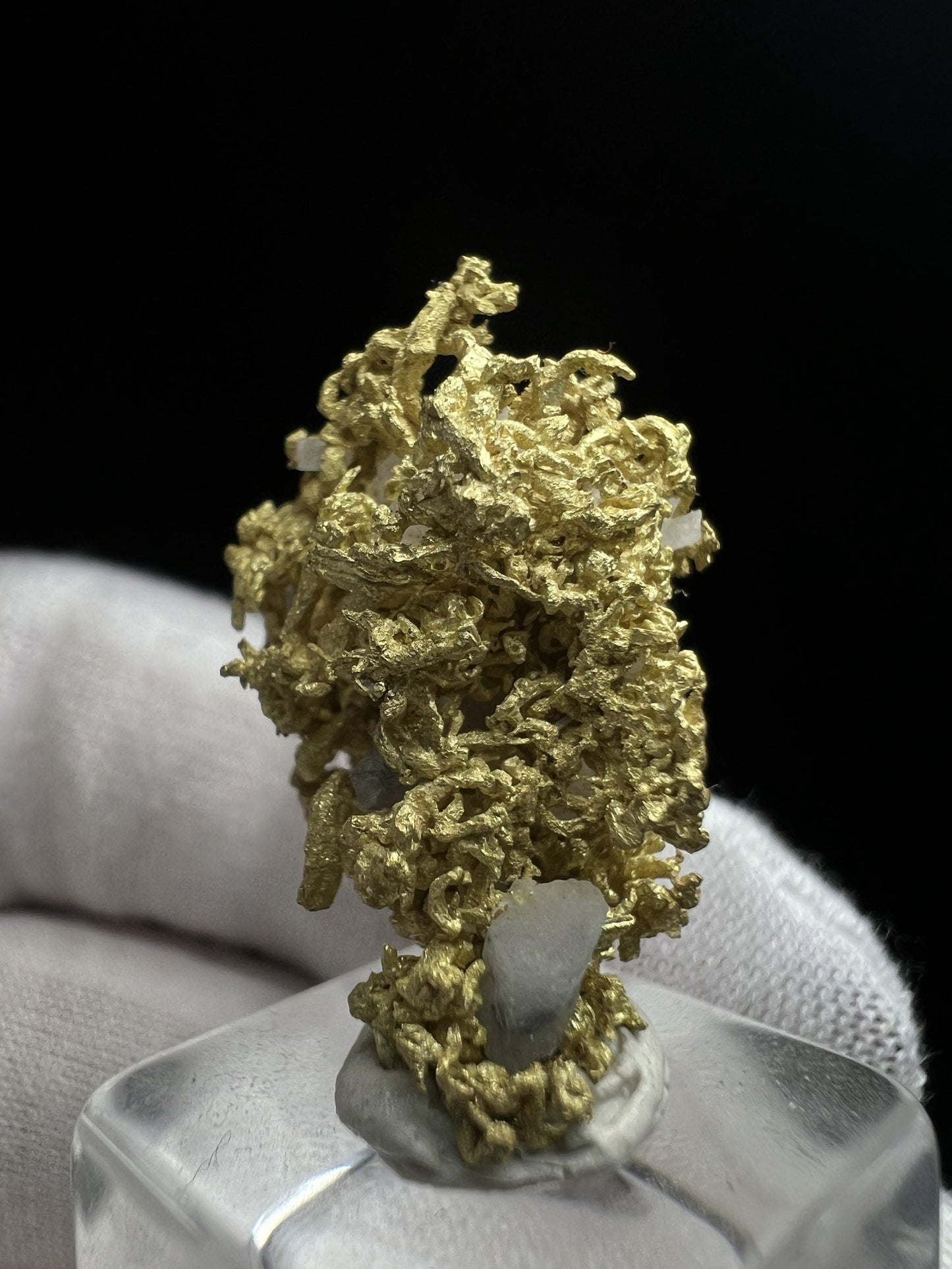 Rare Crystallized High Grade Gold With Quartz From Belshazzar Gold Mine, Boise County, Idaho- collectors piece