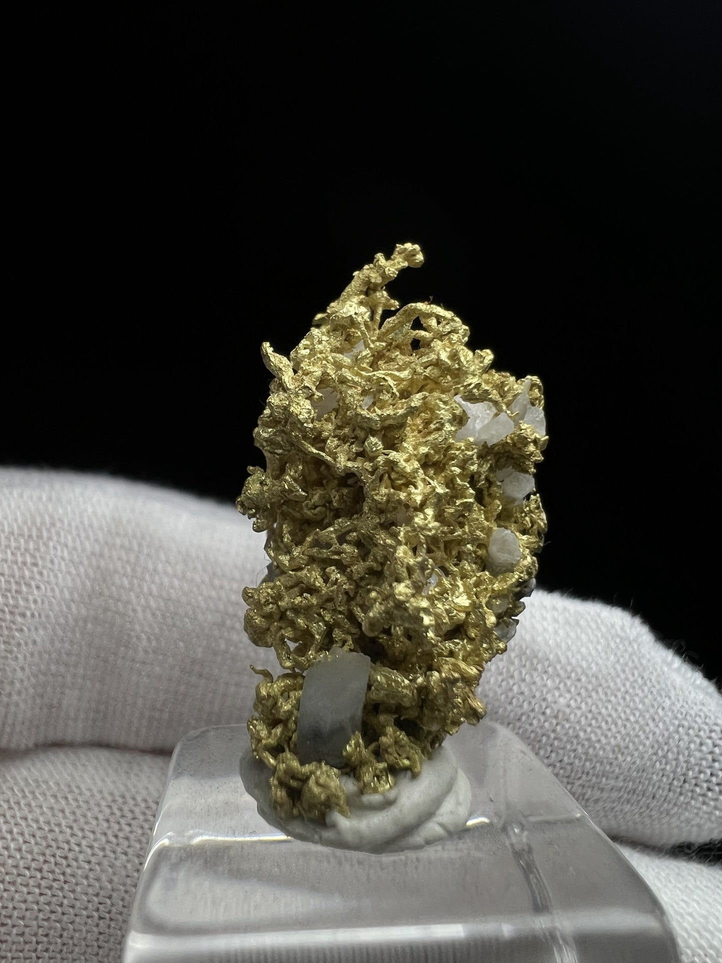 Rare Crystallized High Grade Gold With Quartz From Belshazzar Gold Mine, Boise County, Idaho- collectors piece