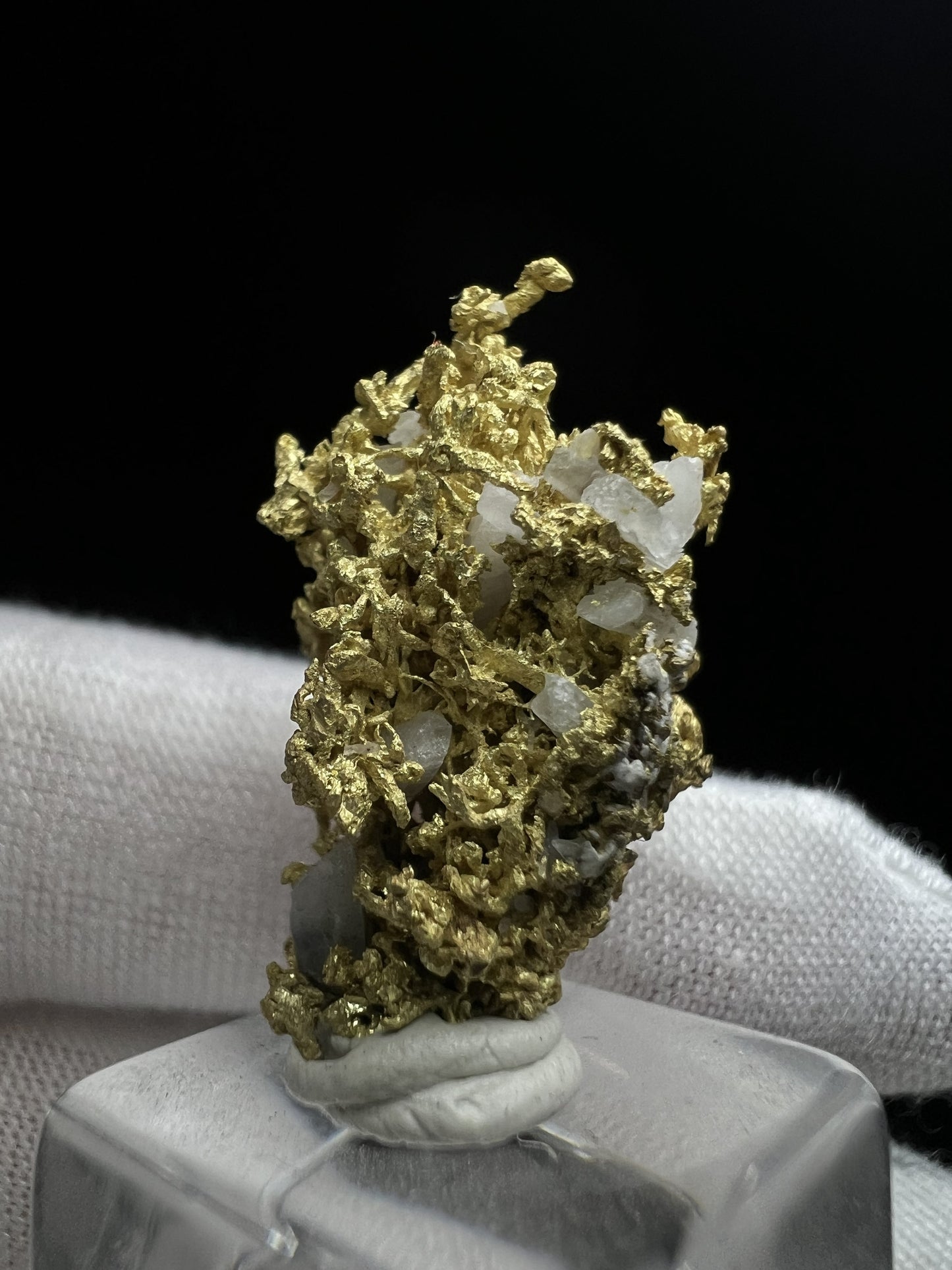 Rare Crystallized High Grade Gold With Quartz From Belshazzar Gold Mine, Boise County, Idaho- collectors piece