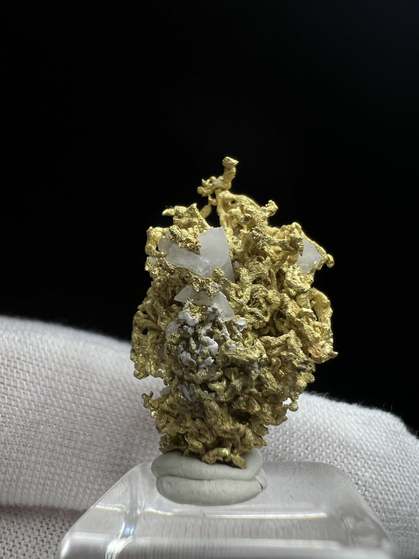 Rare Crystallized High Grade Gold With Quartz From Belshazzar Gold Mine, Boise County, Idaho- collectors piece