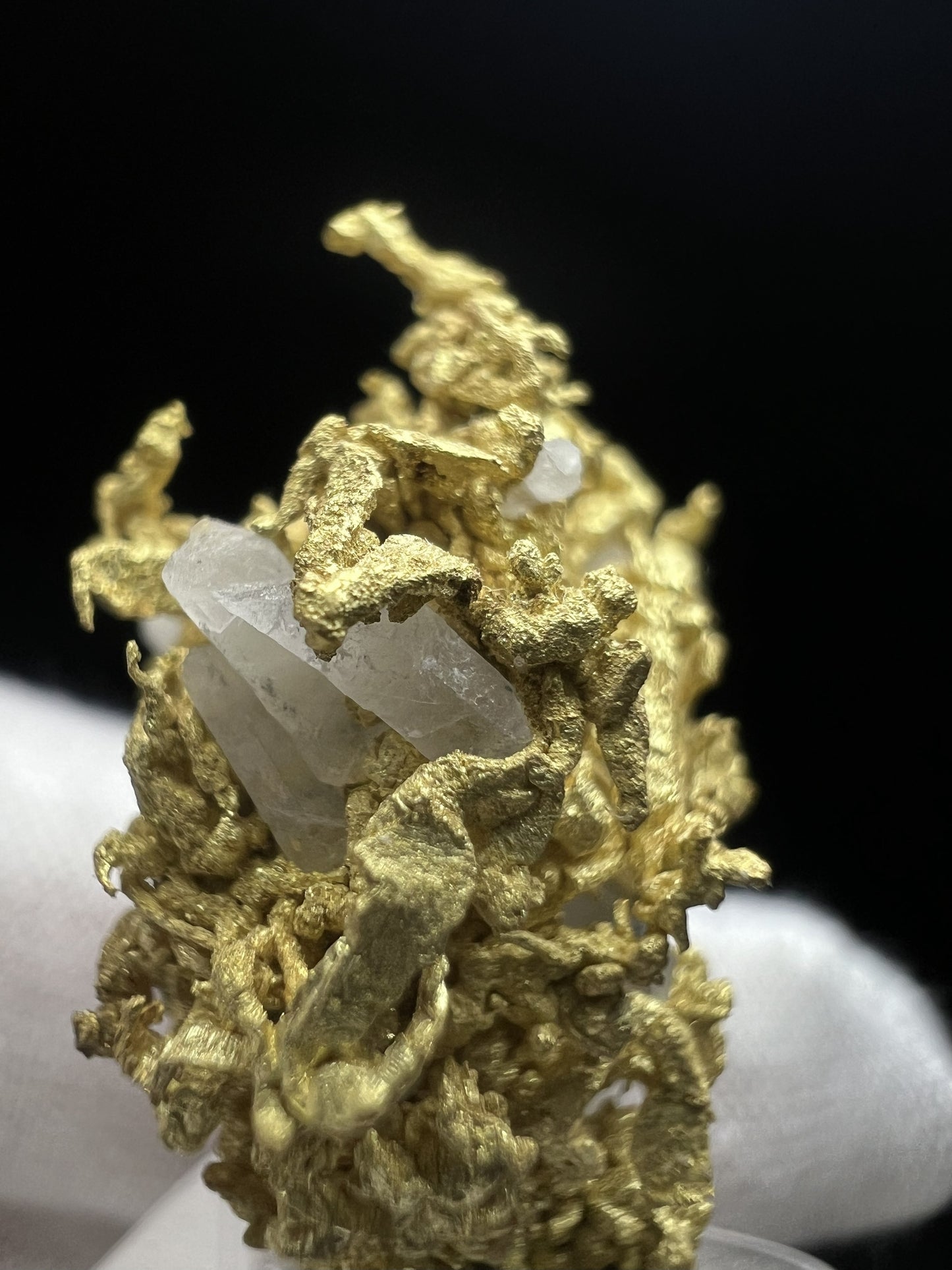 Rare Crystallized High Grade Gold With Quartz From Belshazzar Gold Mine, Boise County, Idaho- collectors piece