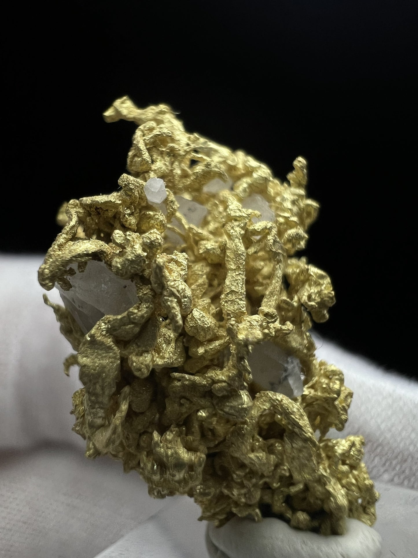 Rare Crystallized High Grade Gold With Quartz From Belshazzar Gold Mine, Boise County, Idaho- collectors piece