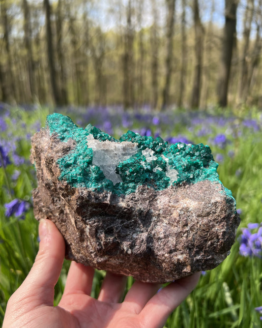 Outstanding Large Dioptase With Calcite On Matrix From Tsumeb Mine, Namibia- Collectors Piece