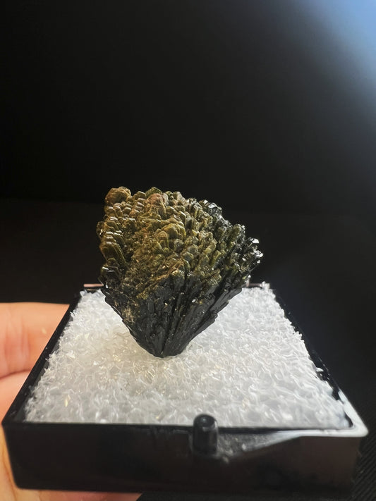 Spray Of Epidote Cluster From Pakistan- Collectors Piece (Box Included)