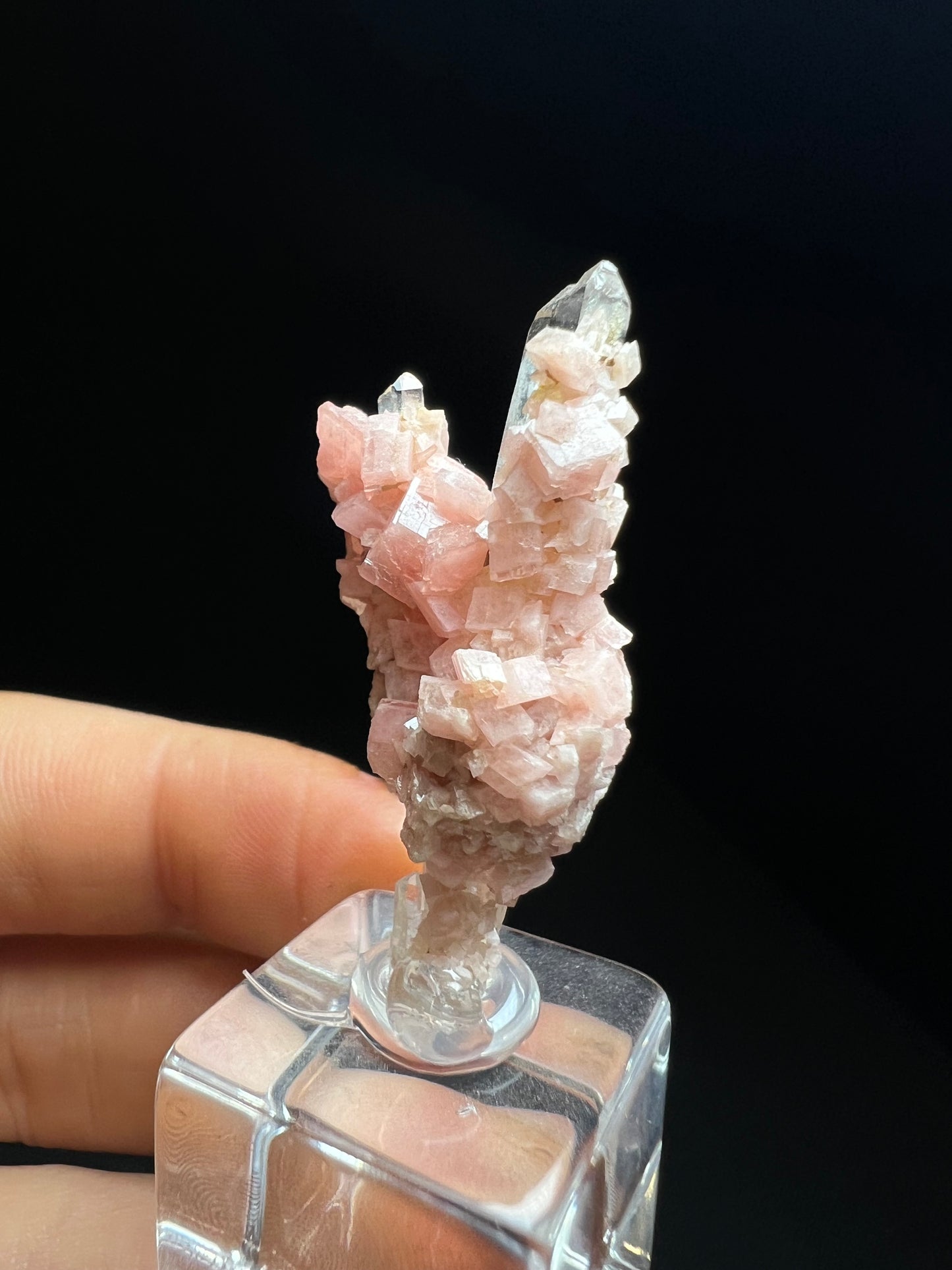 Aesthetic Rhodochrosite on Quartz From Pasta Bueno, Ancash, Peru (Stand Included) Collector Piece