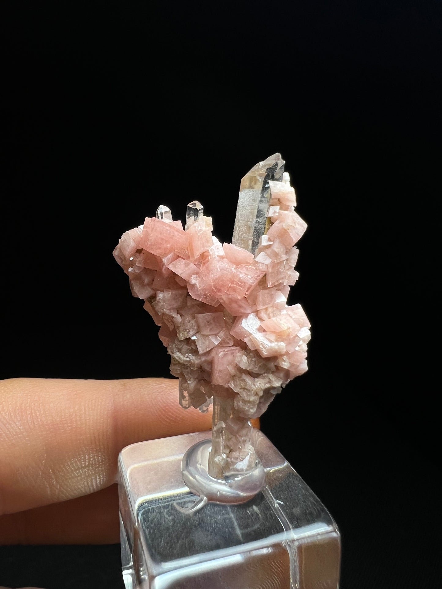 Aesthetic Rhodochrosite on Quartz From Pasta Bueno, Ancash, Peru (Stand Included) Collector Piece