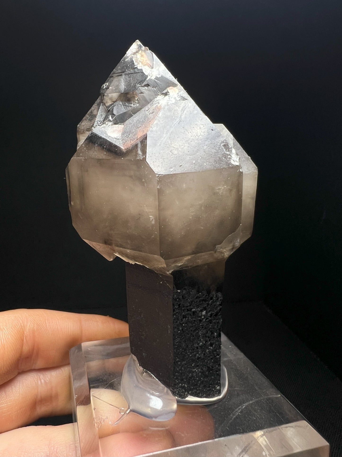 Fully Terminated Smoky Quartz Sceptre From Hallelujah Junction, Nevada (Stand Included) Collectors Piece