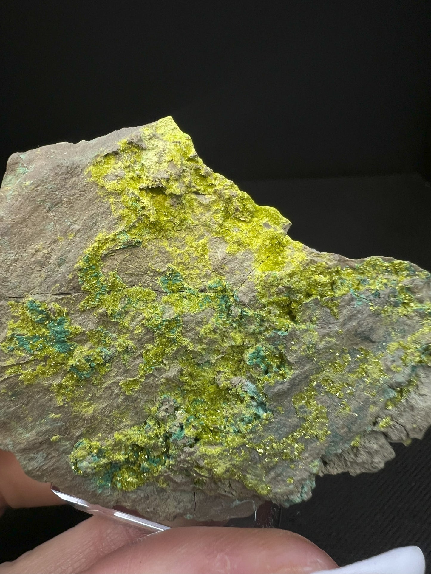 Volborthite From Grant County, N.M- Collectors Piece