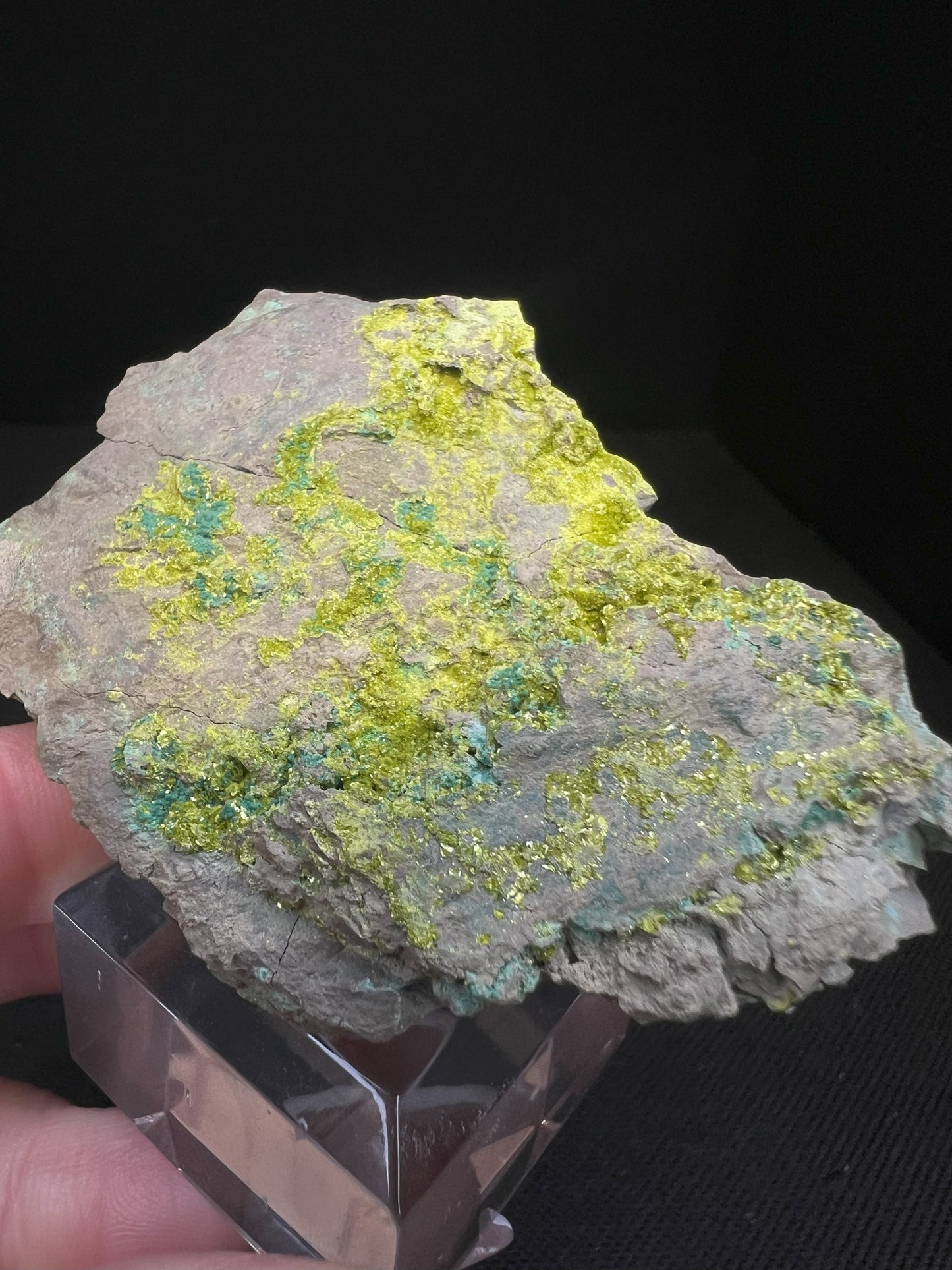 Volborthite From Grant County, N.M- Collectors Piece