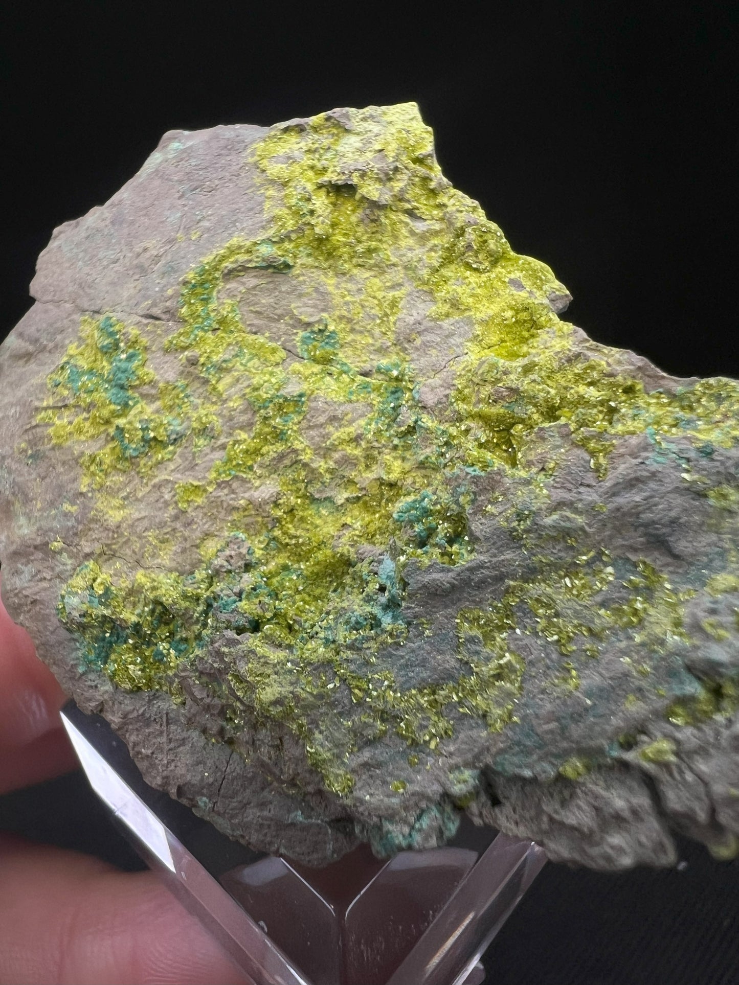 Volborthite From Grant County, N.M- Collectors Piece