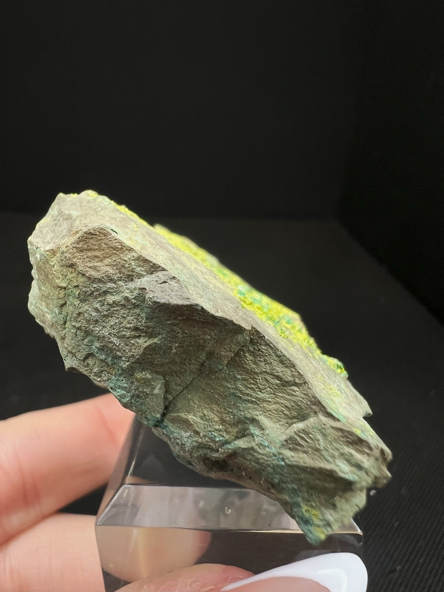 Volborthite From Grant County, N.M- Collectors Piece