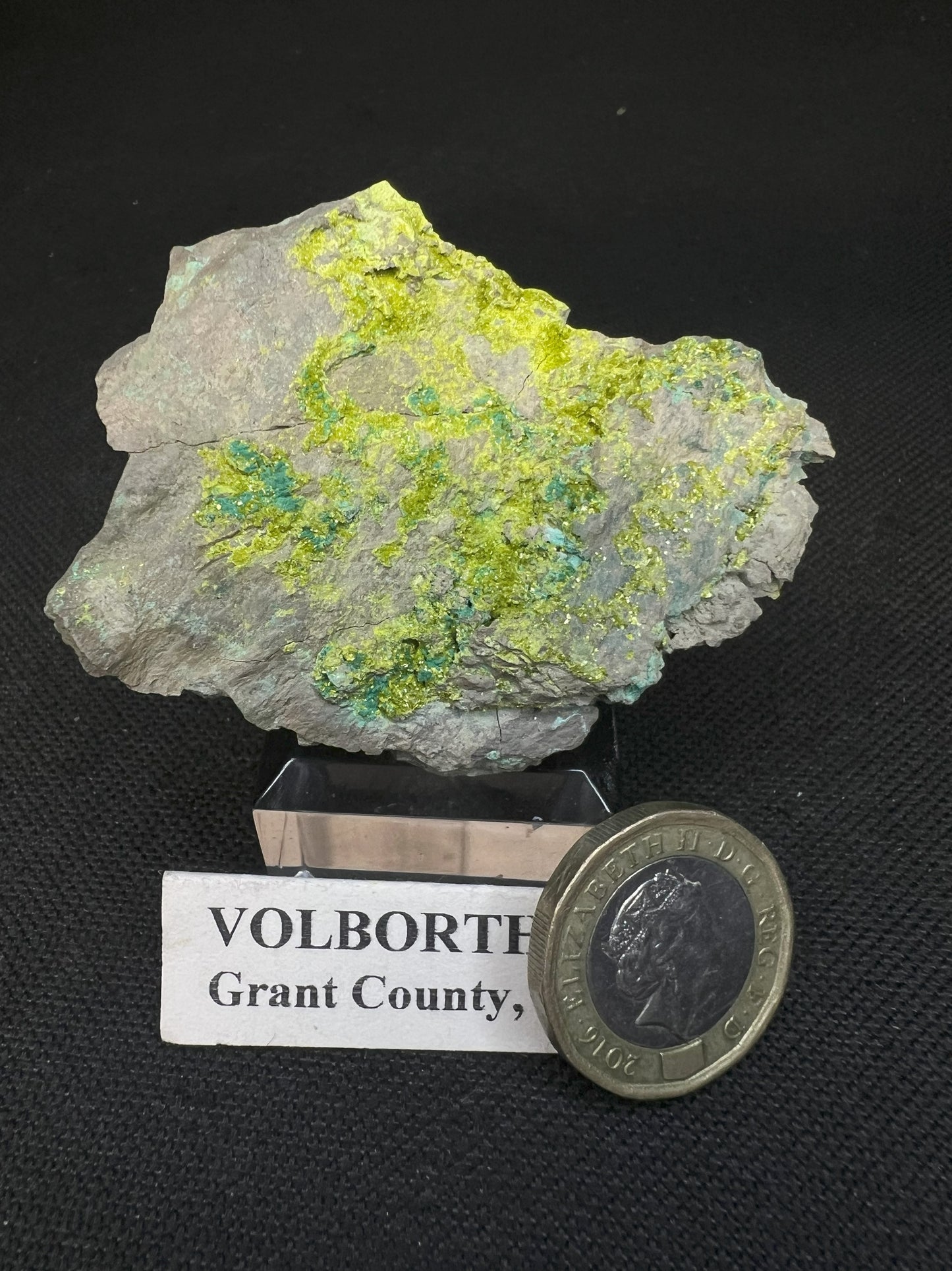Volborthite From Grant County, N.M- Collectors Piece