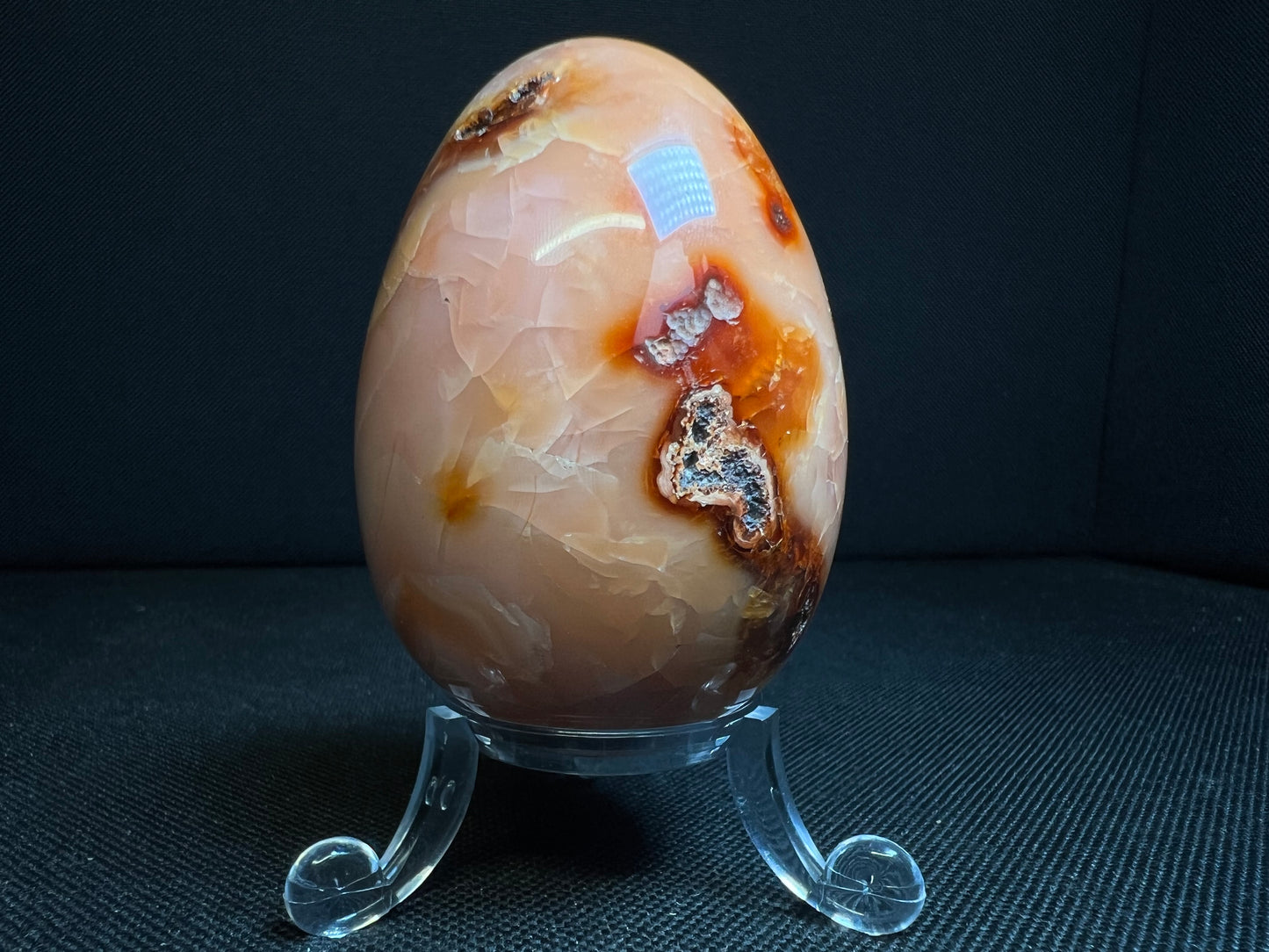 Polished Carnelian Egg From Madagascar- Home Décor, Statement Piece, Crystal Healing (Stand Included)