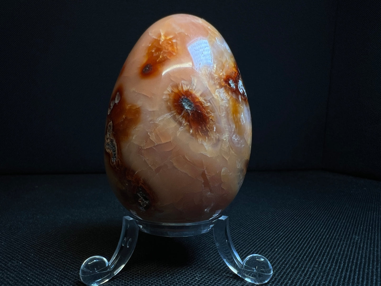 Polished Carnelian Egg From Madagascar- Home Décor, Statement Piece, Crystal Healing (Stand Included)