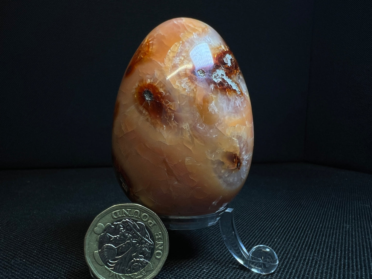 Polished Carnelian Egg From Madagascar- Home Décor, Statement Piece, Crystal Healing (Stand Included)